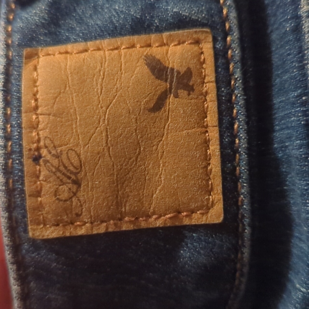 AE Artist Jeans 10R